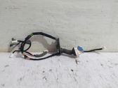 Front door wiring loom