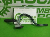 Tailgate/trunk/boot hinge