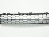 Front bumper lower grill