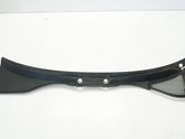 Moldura del limpia