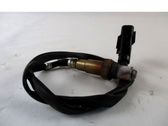 Sonde lambda