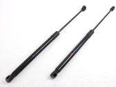 Front bonnet/hood damper/strut