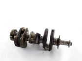 Vilebrequin du moteur