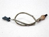 Sonde lambda
