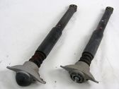 Stoßdämpfer hinten