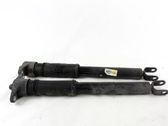 Stoßdämpfer hinten