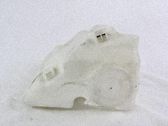 Depósito/tanque del líquido limpiaparabrisas