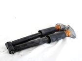Rear shock absorber/damper