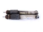 Rear shock absorber/damper