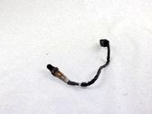 Sonde lambda