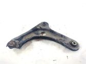 Front lower control arm/wishbone