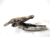 Bisagras del capó/tapa del motor