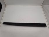 Listón embellecedor de la puerta delantera (moldura)