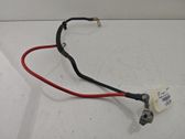 Negative earth cable (battery)