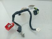 Negative earth cable (battery)