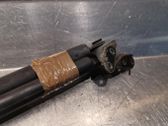 Tailgate/trunk strut/damper