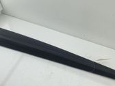 Listón embellecedor de la puerta delantera (moldura)