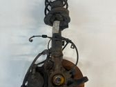 Front wheel hub spindle knuckle