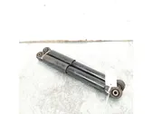 Rear shock absorber with coil spring