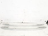 Rain gutter