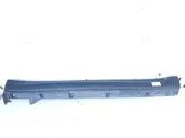 Sill/side skirt trim