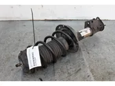 Front shock absorber/damper