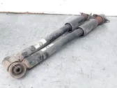 Rear shock absorber with coil spring