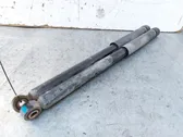 Rear shock absorber with coil spring