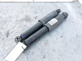 Rear shock absorber with coil spring