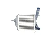 Intercooler radiator