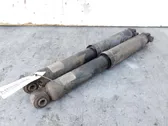 Rear shock absorber with coil spring