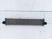 Intercooler radiator