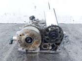 Engine head