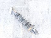 Stoßdämpfer hinten