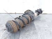 Front shock absorber/damper