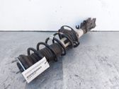 Front shock absorber/damper
