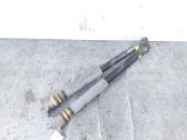 Rear shock absorber/damper