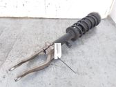Front shock absorber/damper