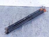 Stoßdämpfer hinten