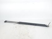 Rear window strut damper
