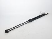 Rear window strut damper