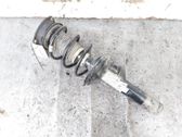 Front shock absorber/damper