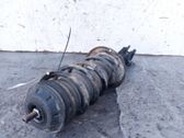 Front shock absorber/damper