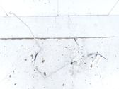 Klimaleitung / Klimaschlauch