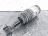 Stoßdämpfer hinten