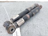 Stoßdämpfer hinten