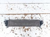 Intercooler radiator
