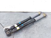 Rear shock absorber/damper