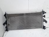 Heater blower radiator