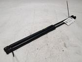 Tailgate/trunk strut/damper